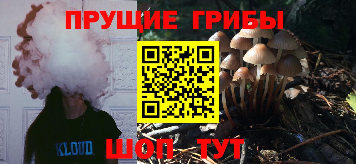 Псилоцибиновые грибы GOLDEN TEACHER Грозный